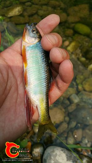 微信图片_20170711213114.jpg
