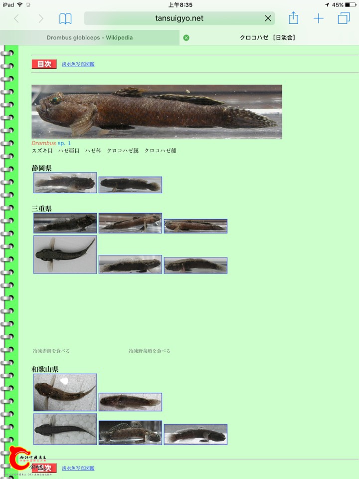 083614h4jtleqzp4t9484z.jpg
