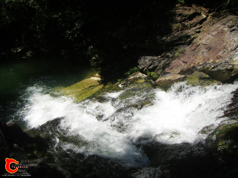 231055wqotpdx8xzdbodom.jpg