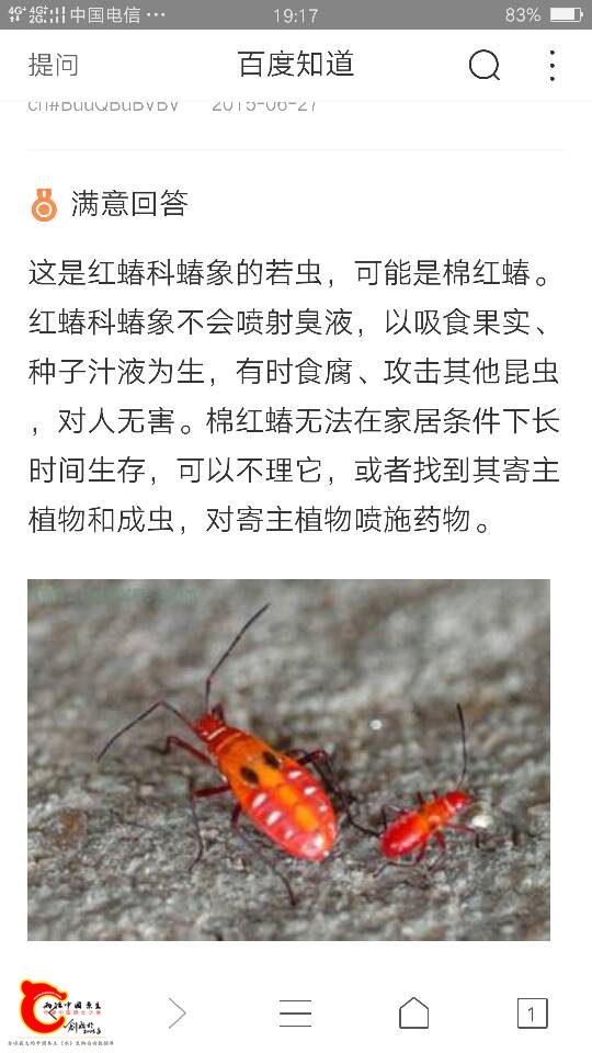 000344g6duy66oeo6e7oei.png
