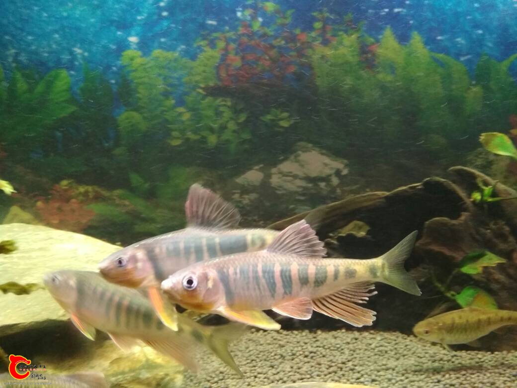 200949qkzzpsg1sx8oqsbx.jpg