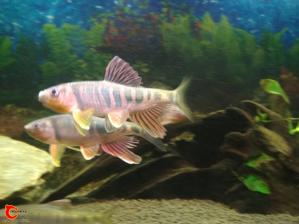 200955u94449644iqgsu9y.jpg