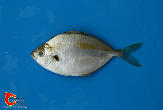 M02A9619_副本.jpg