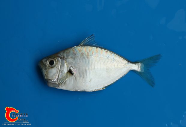 M02A9629_副本.jpg