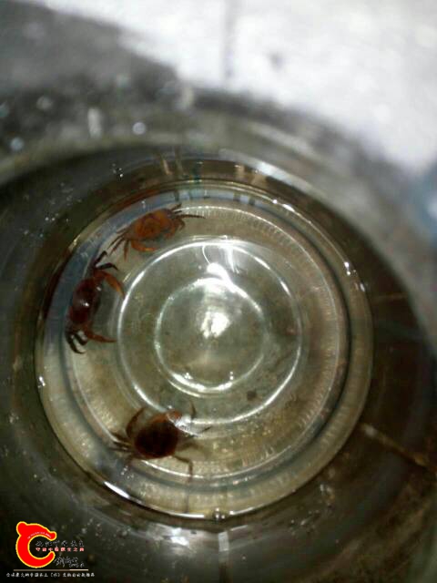 090905nzvkgqhnklxg1k27.jpg
