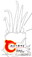 08bc03e81af19a81cde4cbb34cf8db67.png