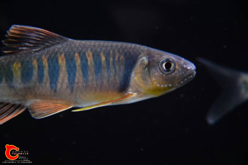 001602r2gagpf22lvauuia.JPG