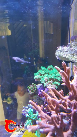 20170718_171944.jpg