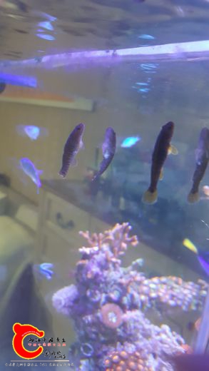 20170723_174900.jpg