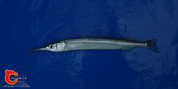 M02A4505.JPG