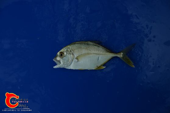 M02A4583.JPG