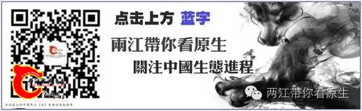 465c24c597dcd7319abe53cbf964b3d5.jpg