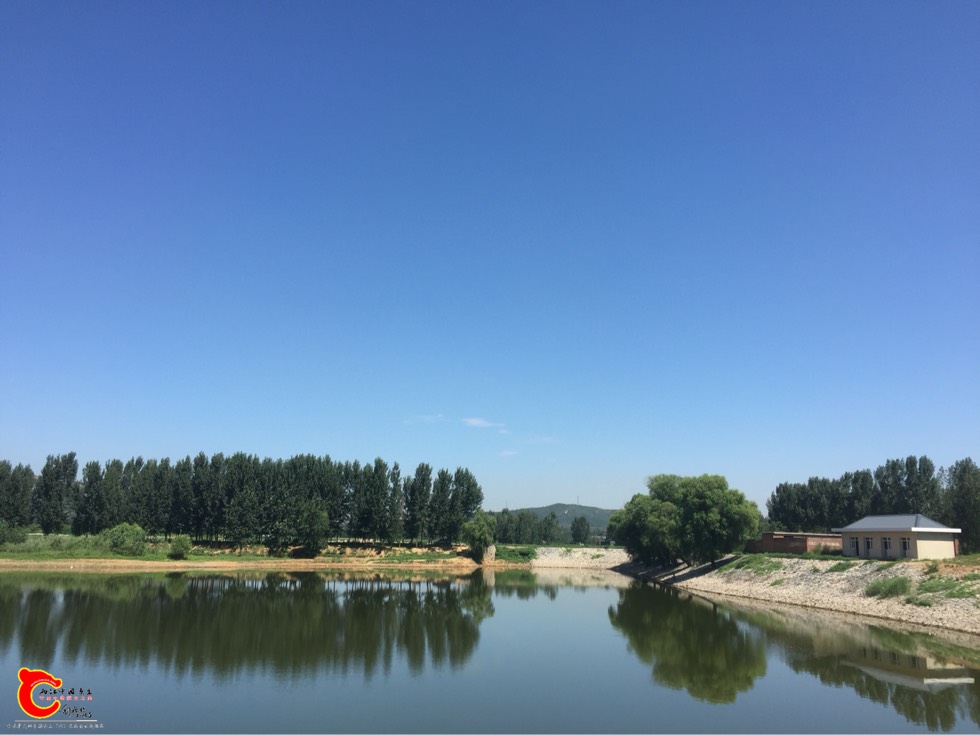 144717qms1z1imkmcildm1.jpg