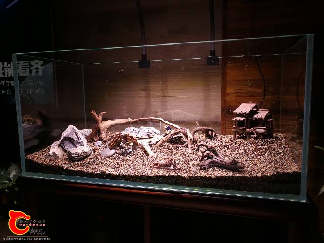 212209rj6jb62zdb4j85za.jpg