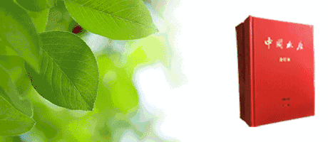b89cc2ec3d1b39d2b226aeebc923851f.gif