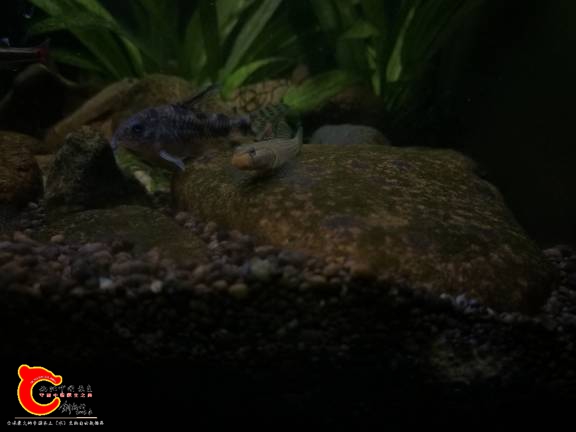 120109ew70mj0fp9bj29gr.jpg