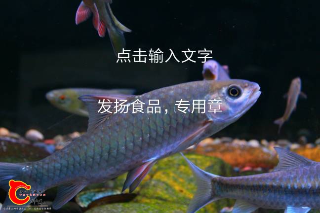 144606esw1zh3iws6rz6kf.jpg