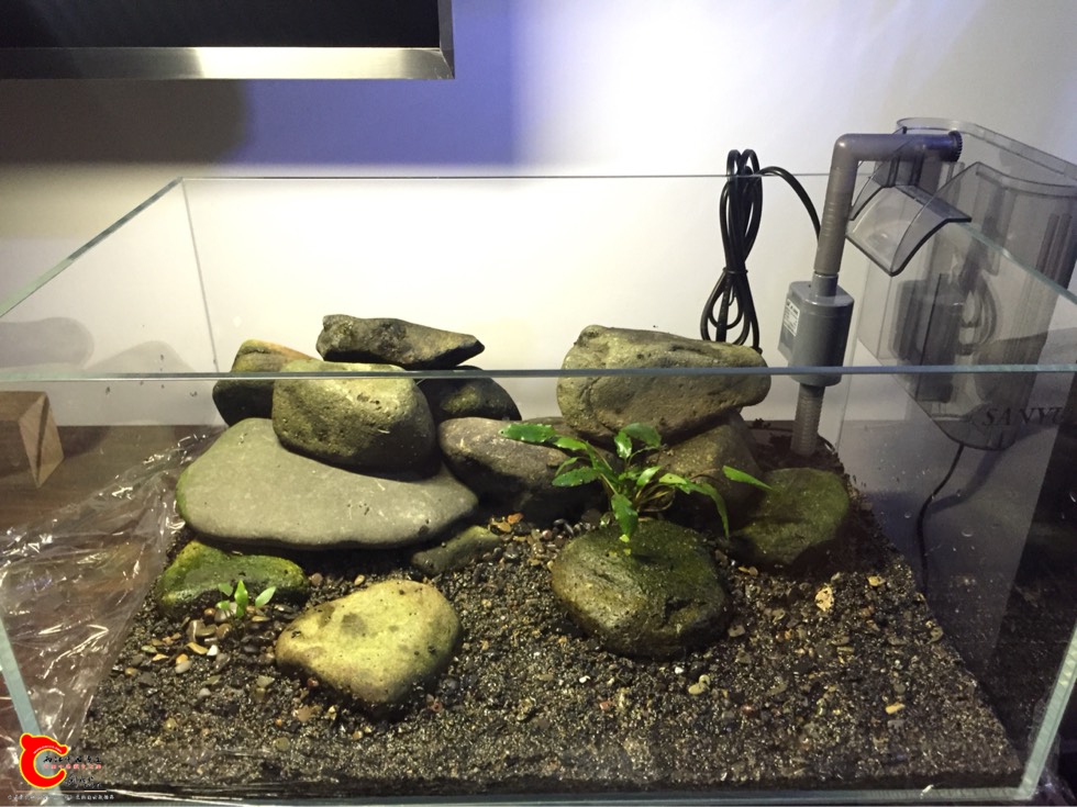 130926biizahidawfroe6h.jpg