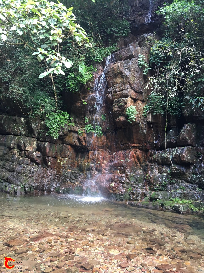 124050ppanvayyyv0zy0mv.jpg