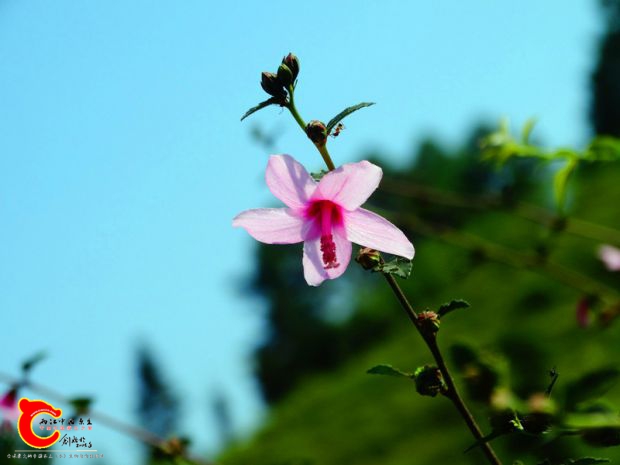 DSC04734.JPG