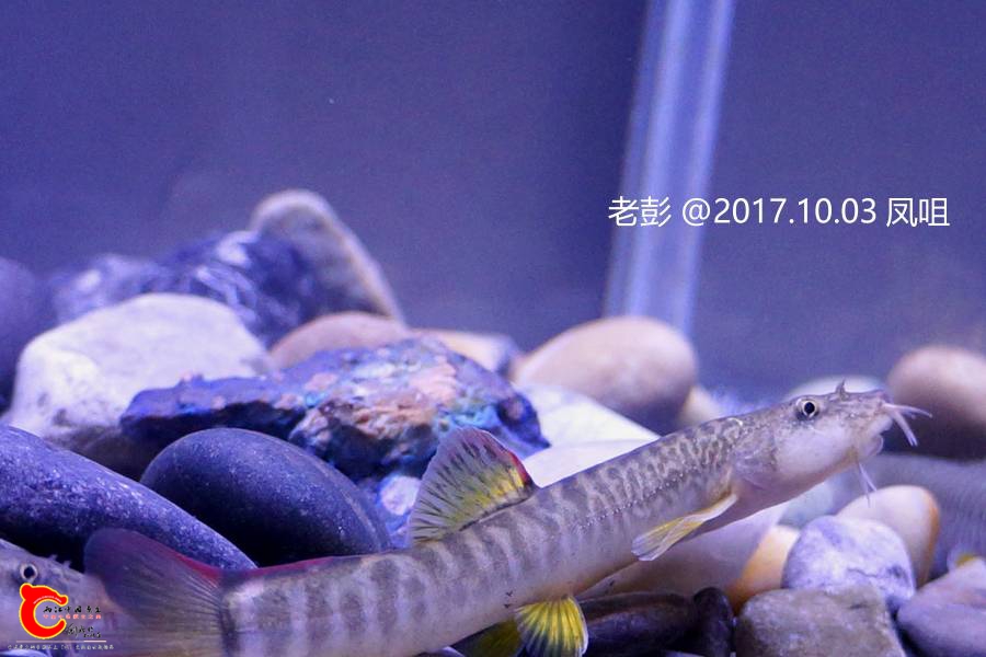 150212wi2g2wwguub20asi.jpg