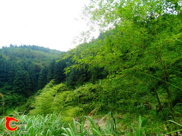 DSC04831.JPG