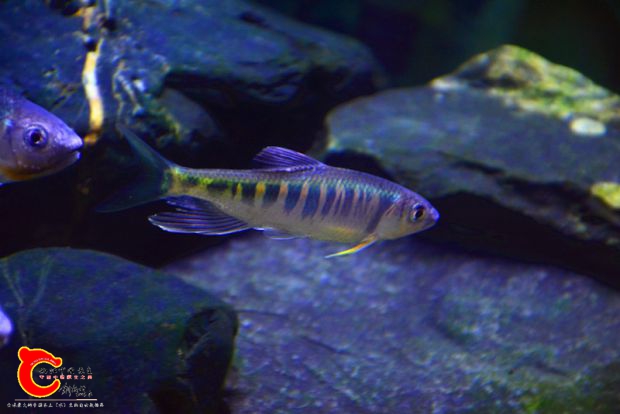 DSC_3341.JPG