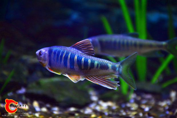 DSC_3352.JPG