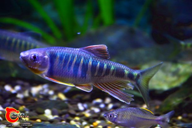 DSC_3406.JPG