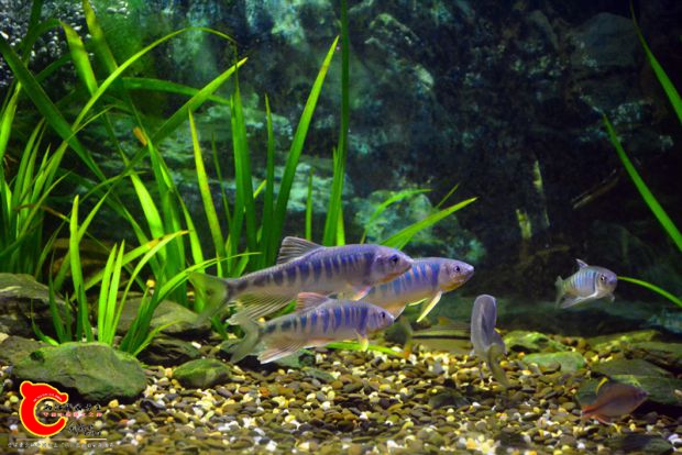 DSC_3450.JPG