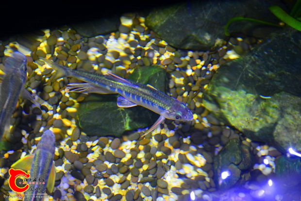 DSC_3454.JPG