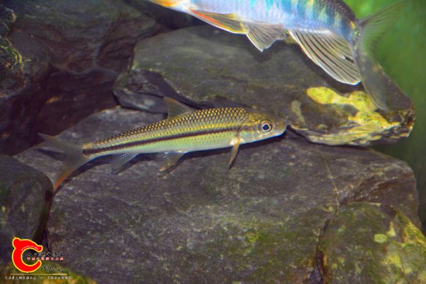 DSC_3362.JPG