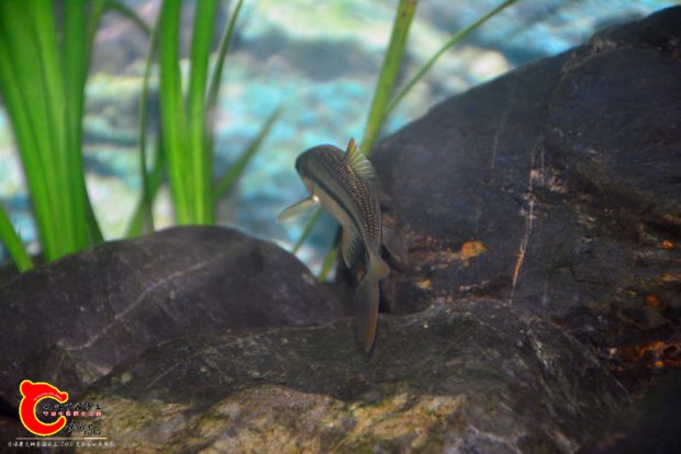 DSC_3366.JPG