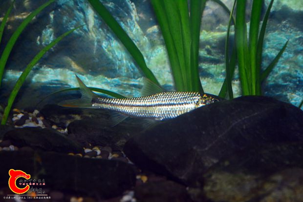 DSC_3369.JPG