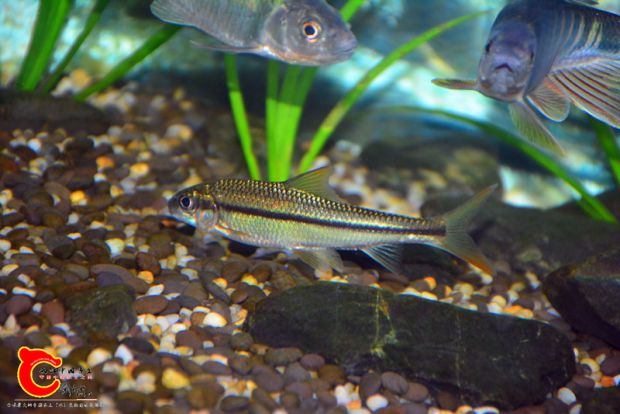 DSC_3377.JPG