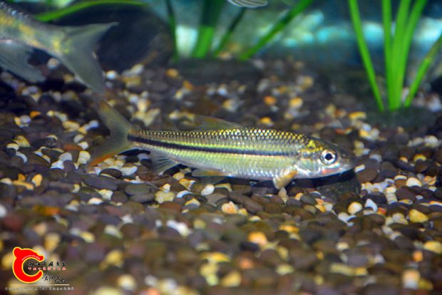 DSC_3381.JPG