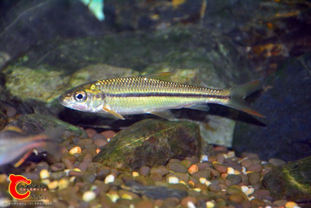 DSC_3383.JPG
