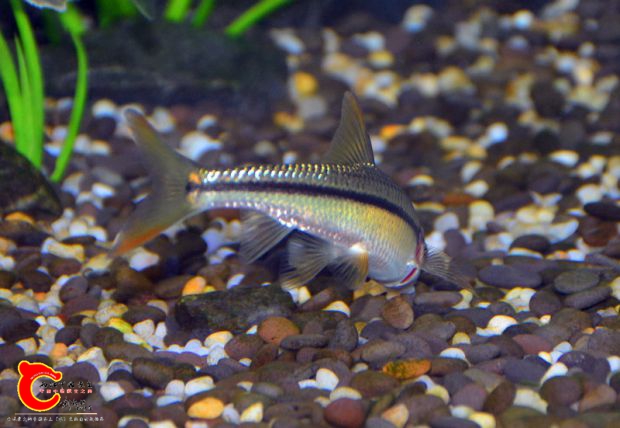 DSC_3388.JPG