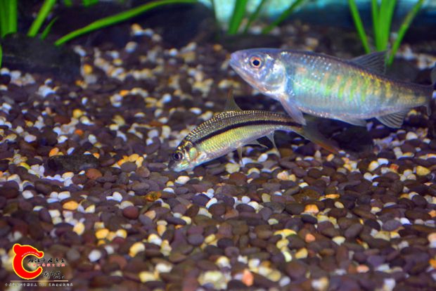 DSC_3390.JPG