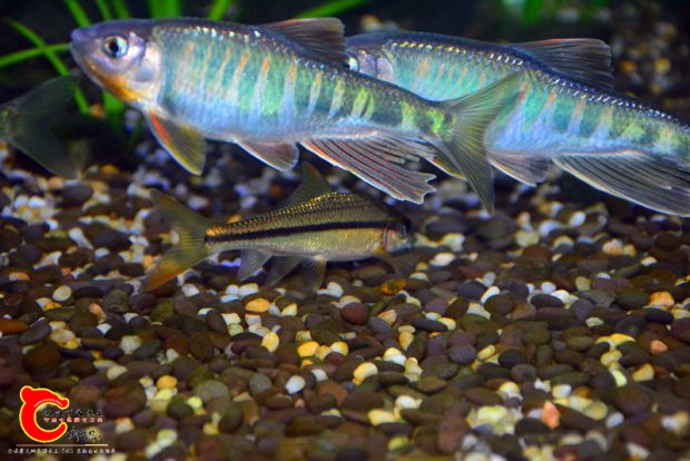 DSC_3391.JPG