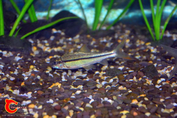 DSC_3394.JPG
