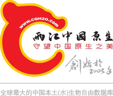 始创2003 LOGO &amp; 数据库 拷贝_副本.jpg