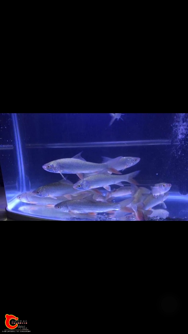 200751p9ex19yo5fa9ax39.jpg