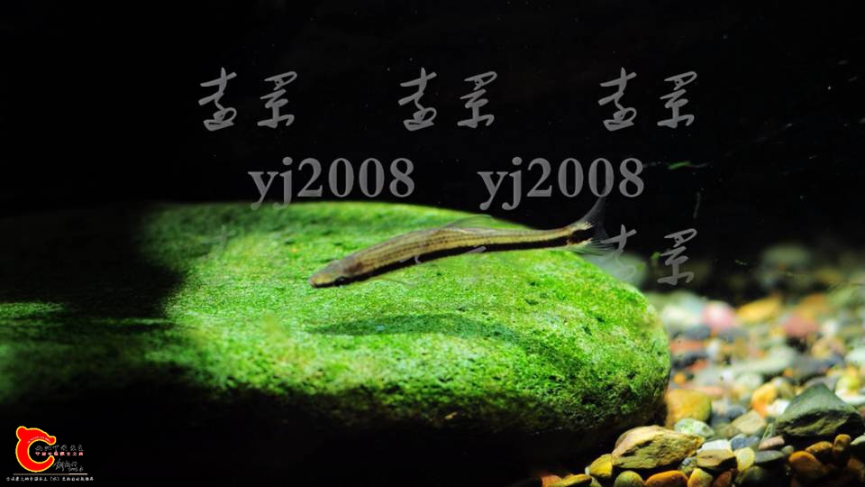 200912jhux2s2zsa28spx2.png