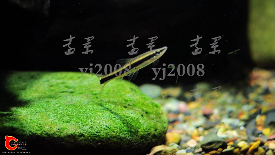 200914v97bzaza9tc3v1av.png