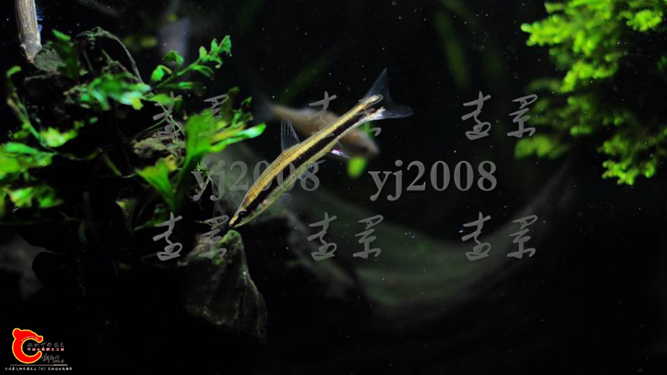 200915v95ygnx85iwx5yw2.png