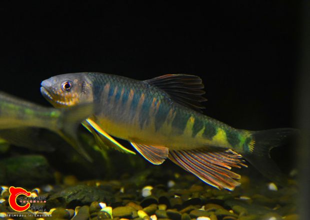 DSC_3431.JPG