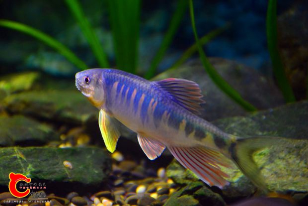 DSC_3435.JPG