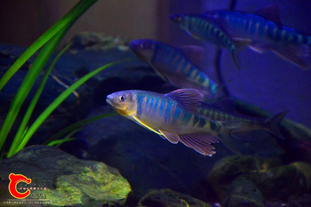 DSC_3436.JPG