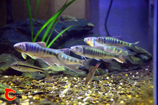 DSC_3441.JPG